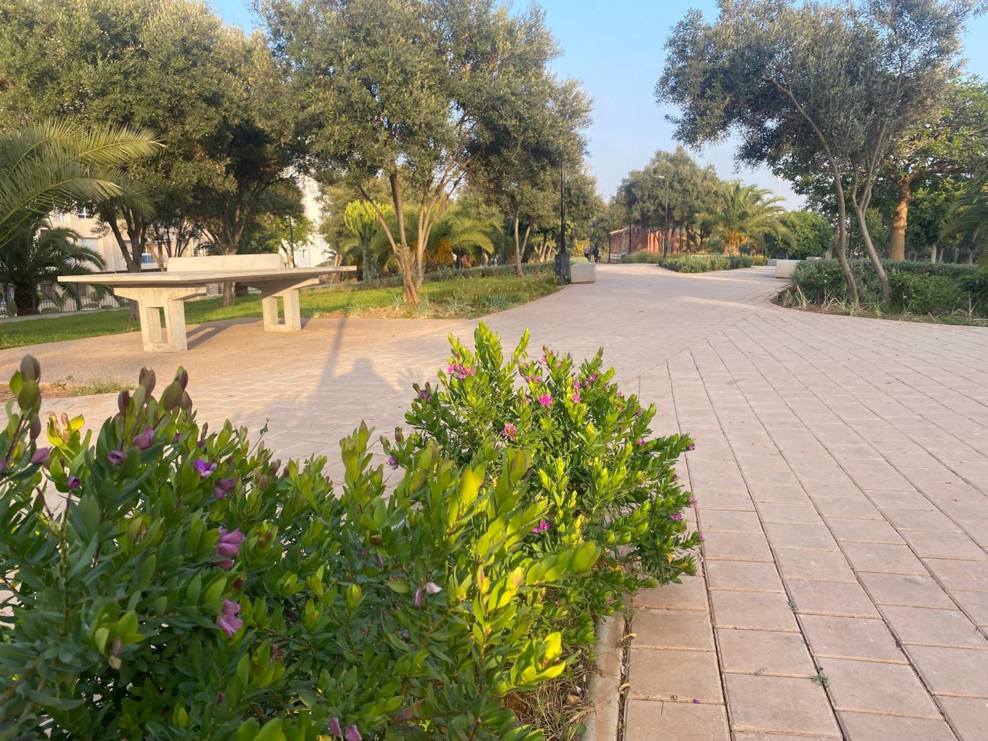 Cosy Greeny 3 Bdr - Downtown Near Oasis Train And Tramway Καζαμπλάνκα Εξωτερικό φωτογραφία